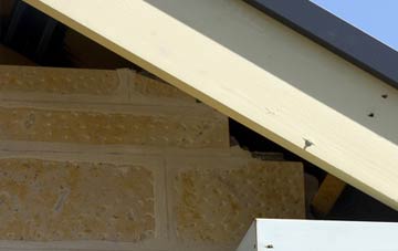soffit repair Mockerkin